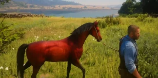 Where to Find the Red Chestnut Arabian Horse in Red Dead Redemption 2: Complete Guide